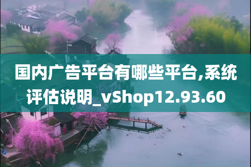 国内广告平台有哪些平台,系统评估说明_vShop12.93.60