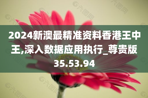 2024新澳最精准资料香港王中王,深入数据应用执行_尊贵版35.53.94