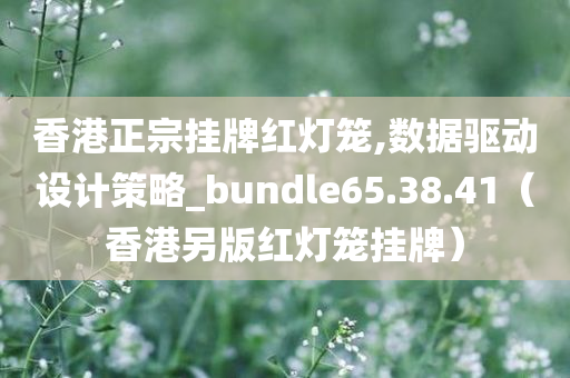 香港正宗挂牌红灯笼,数据驱动设计策略_bundle65.38.41（香港另版红灯笼挂牌）