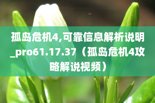 孤岛危机4,可靠信息解析说明_pro61.17.37（孤岛危机4攻略解说视频）