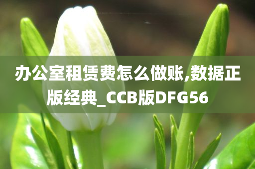 办公室租赁费怎么做账,数据正版经典_CCB版DFG56