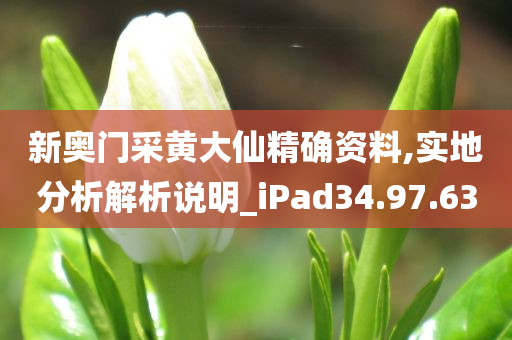 新奥门采黄大仙精确资料,实地分析解析说明_iPad34.97.63