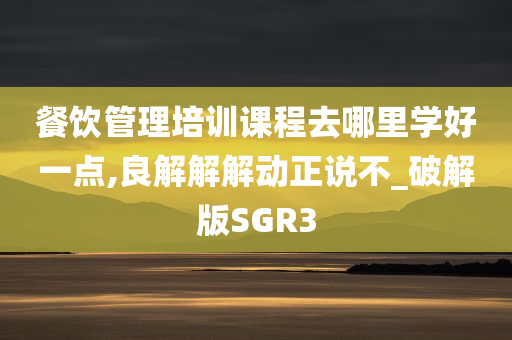 餐饮管理培训课程去哪里学好一点,良解解解动正说不_破解版SGR3