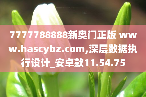 7777788888新奥门正版 www.hascybz.com,深层数据执行设计_安卓款11.54.75