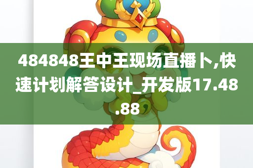 484848王中王现场直播卜,快速计划解答设计_开发版17.48.88