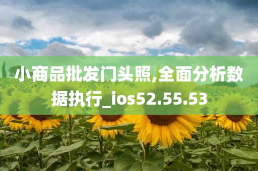 小商品批发门头照,全面分析数据执行_ios52.55.53