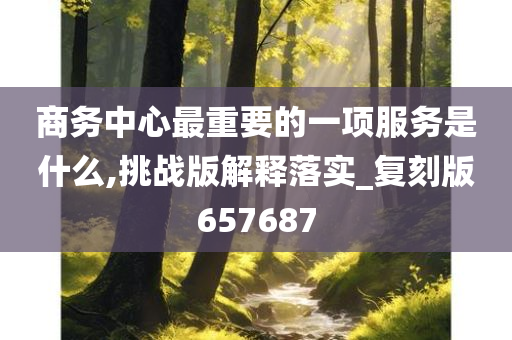 商务中心最重要的一项服务是什么,挑战版解释落实_复刻版657687