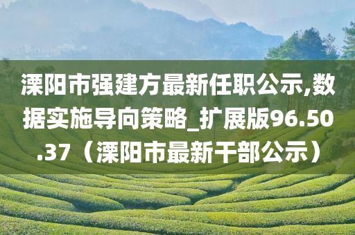 溧阳市强建方最新任职公示,数据实施导向策略_扩展版96.50.37（溧阳市最新干部公示）