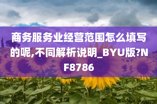 商务服务业经营范围怎么填写的呢,不同解析说明_BYU版?NF8786