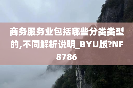 商务服务业包括哪些分类类型的,不同解析说明_BYU版?NF8786