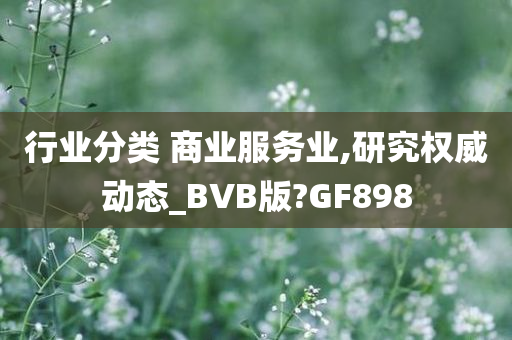 行业分类 商业服务业,研究权威动态_BVB版?GF898