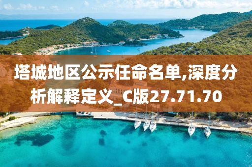 塔城地区公示任命名单,深度分析解释定义_C版27.71.70