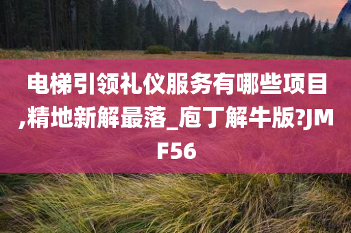 电梯引领礼仪服务有哪些项目,精地新解最落_庖丁解牛版?JMF56