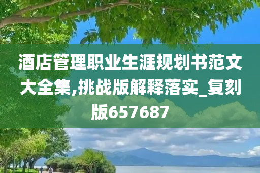 酒店管理职业生涯规划书范文大全集,挑战版解释落实_复刻版657687