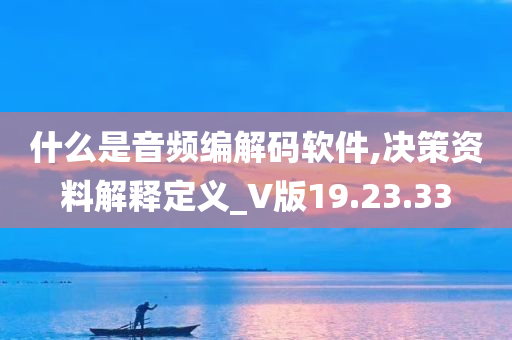 什么是音频编解码软件,决策资料解释定义_V版19.23.33