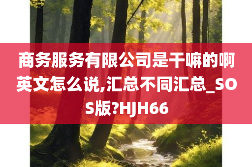 商务服务有限公司是干嘛的啊英文怎么说,汇总不同汇总_SOS版?HJH66