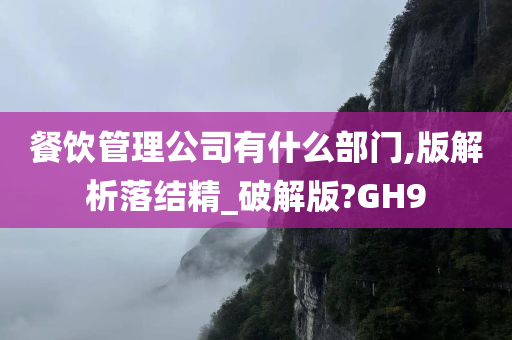 餐饮管理公司有什么部门,版解析落结精_破解版?GH9