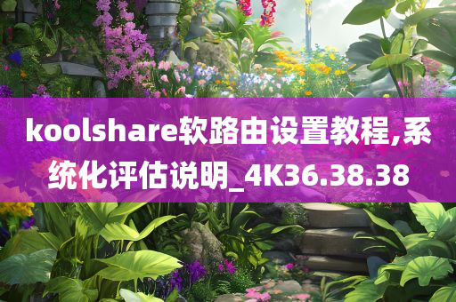 koolshare软路由设置教程,系统化评估说明_4K36.38.38