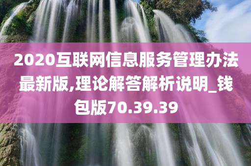 2020互联网信息服务管理办法最新版,理论解答解析说明_钱包版70.39.39