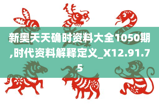 新奥天天确时资料大全1050期,时代资料解释定义_X12.91.75