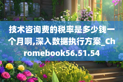 技术咨询费的税率是多少钱一个月啊,深入数据执行方案_Chromebook56.51.54