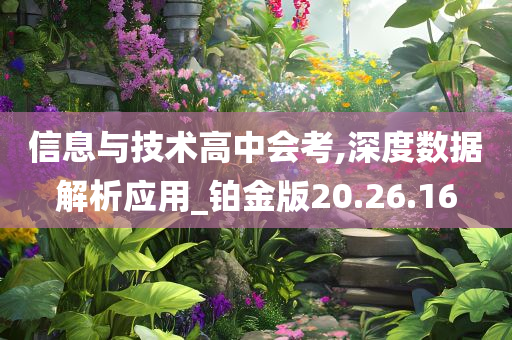 信息与技术高中会考,深度数据解析应用_铂金版20.26.16