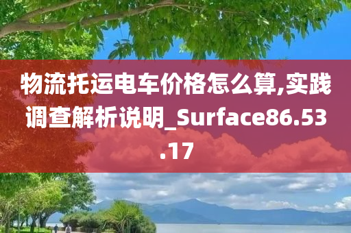 物流托运电车价格怎么算,实践调查解析说明_Surface86.53.17