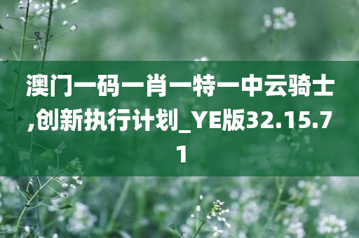 澳门一码一肖一特一中云骑士,创新执行计划_YE版32.15.71