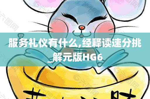 服务礼仪有什么,经释读速分挑_解元版HG6