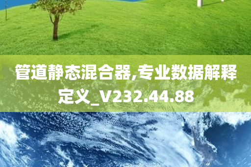 管道静态混合器,专业数据解释定义_V232.44.88