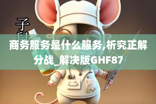 商务服务是什么服务,析究正解分战_解决版GHF87