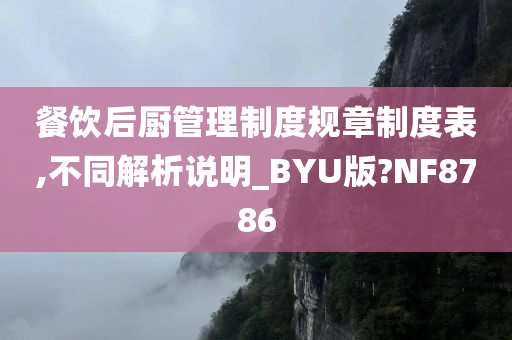 餐饮后厨管理制度规章制度表,不同解析说明_BYU版?NF8786