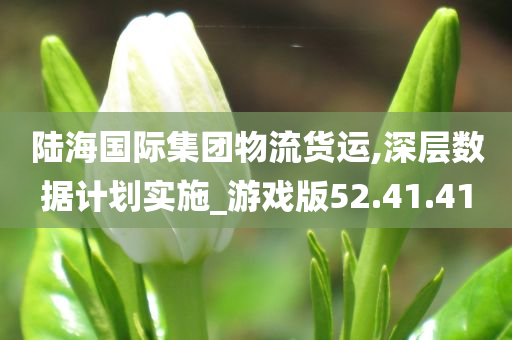 陆海国际集团物流货运,深层数据计划实施_游戏版52.41.41