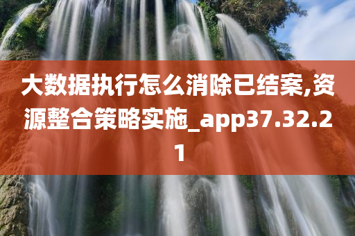 大数据执行怎么消除已结案,资源整合策略实施_app37.32.21