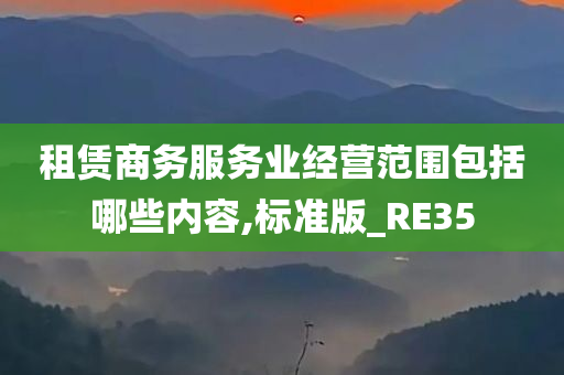 租赁商务服务业经营范围包括哪些内容,标准版_RE35