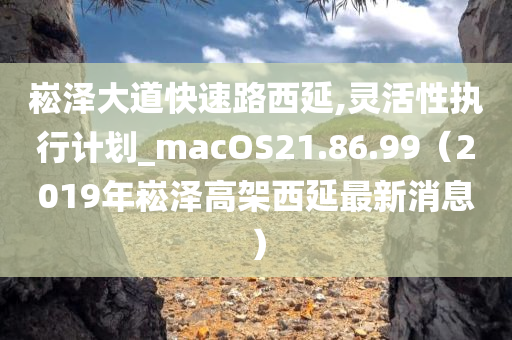 崧泽大道快速路西延,灵活性执行计划_macOS21.86.99（2019年崧泽高架西延最新消息）