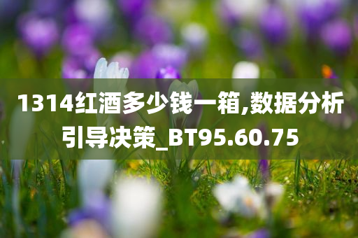 1314红酒多少钱一箱,数据分析引导决策_BT95.60.75