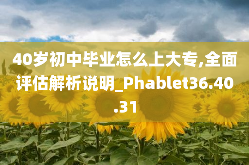 40岁初中毕业怎么上大专,全面评估解析说明_Phablet36.40.31