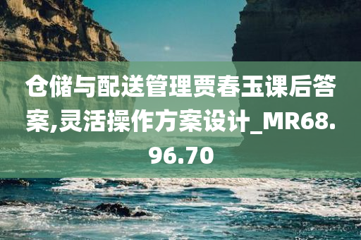 仓储与配送管理贾春玉课后答案,灵活操作方案设计_MR68.96.70