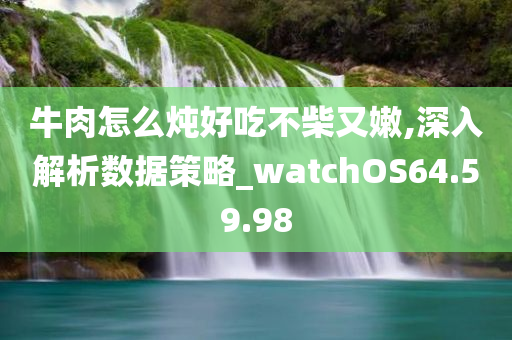 牛肉怎么炖好吃不柴又嫩,深入解析数据策略_watchOS64.59.98