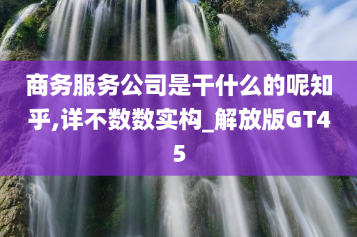 商务服务公司是干什么的呢知乎,详不数数实构_解放版GT45