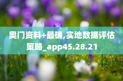 奥门资料+最确,实地数据评估策略_app45.28.21