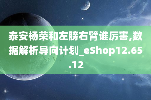 泰安杨荣和左膀右臂谁厉害,数据解析导向计划_eShop12.65.12