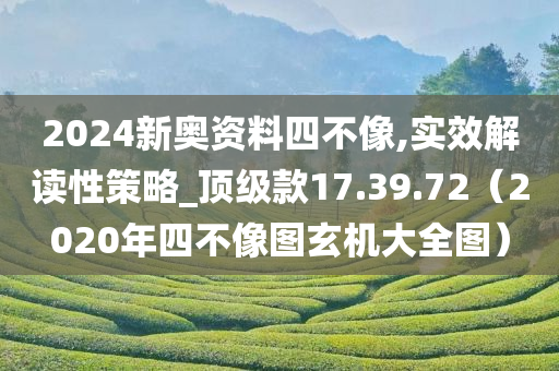 2024新奥资料四不像,实效解读性策略_顶级款17.39.72（2020年四不像图玄机大全图）