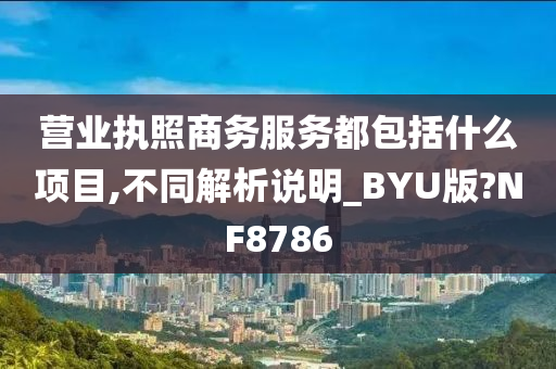 营业执照商务服务都包括什么项目,不同解析说明_BYU版?NF8786