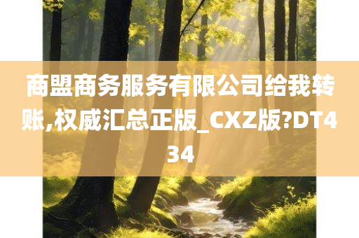 商盟商务服务有限公司给我转账,权威汇总正版_CXZ版?DT434