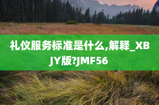 礼仪服务标准是什么,解释_XBJY版?JMF56