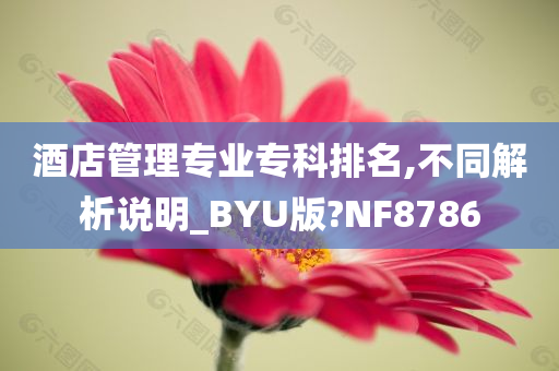 酒店管理专业专科排名,不同解析说明_BYU版?NF8786