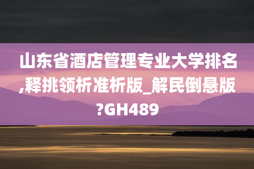 山东省酒店管理专业大学排名,释挑领析准析版_解民倒悬版?GH489