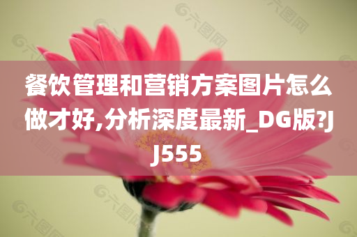 餐饮管理和营销方案图片怎么做才好,分析深度最新_DG版?JJ555